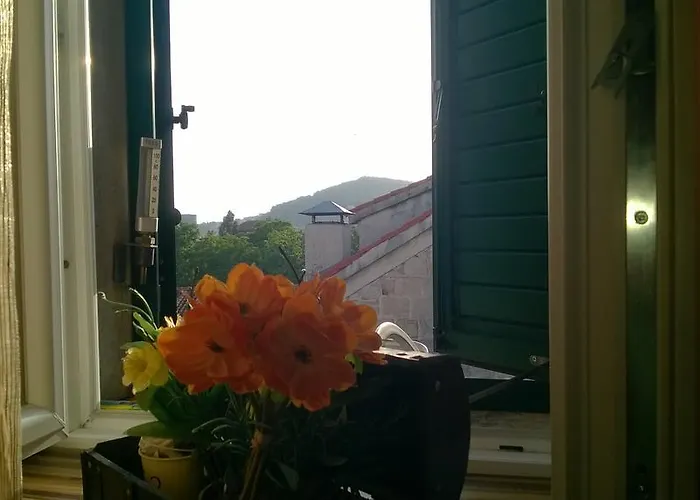 Eliana 스플리트
